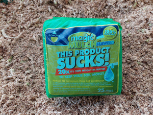Transplanting with Magic Mulch - Fabulous for it.ase read below.