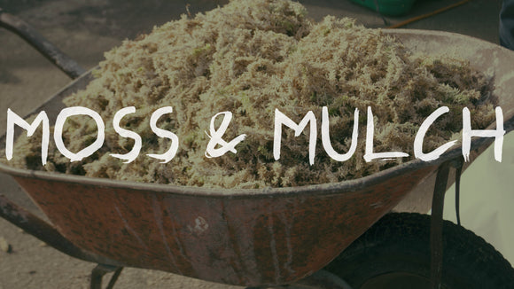 Moss & Mulch - Please note the changes