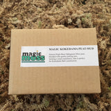 Kokedama Mud -Small