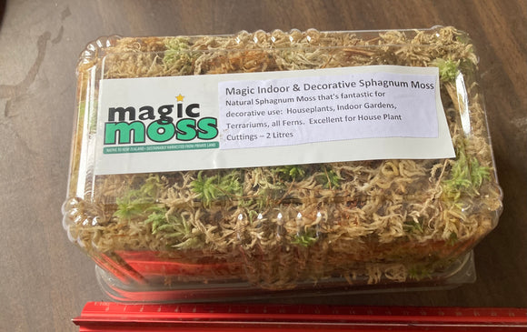 Magic Indoor and Decorative Sphagnum Moss